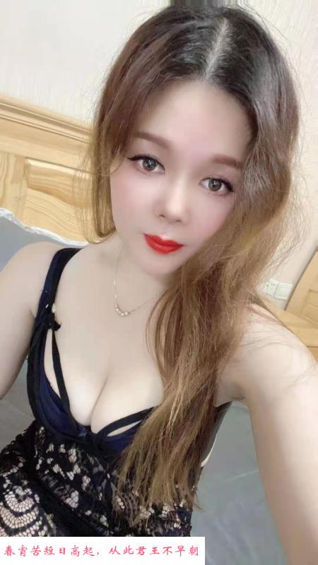 杭州紫玫瑰 第1张