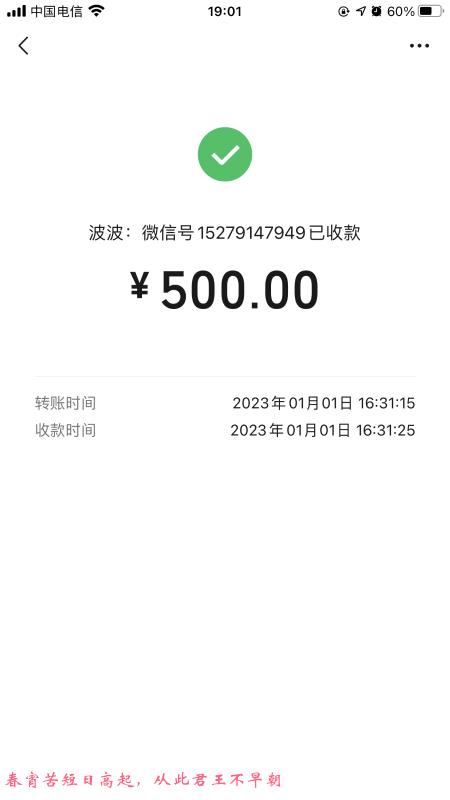 过年不回家的波波 第3张