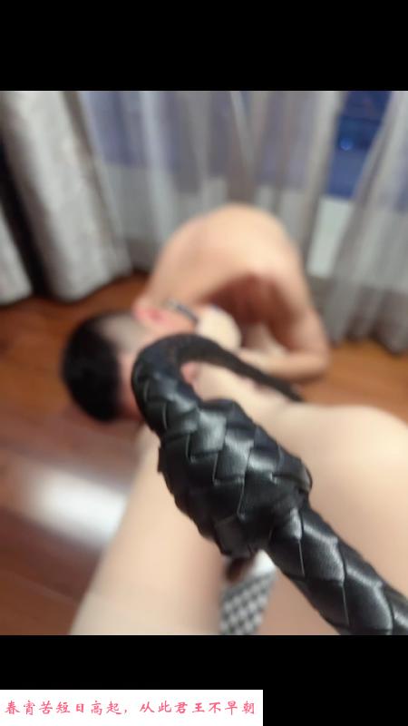 有调教的姐姐 第1张