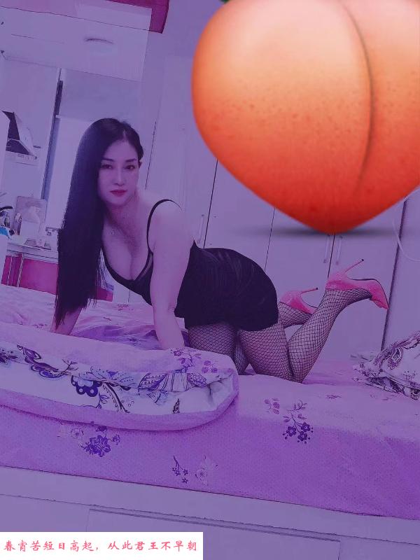 幕府熟女中项 第1张