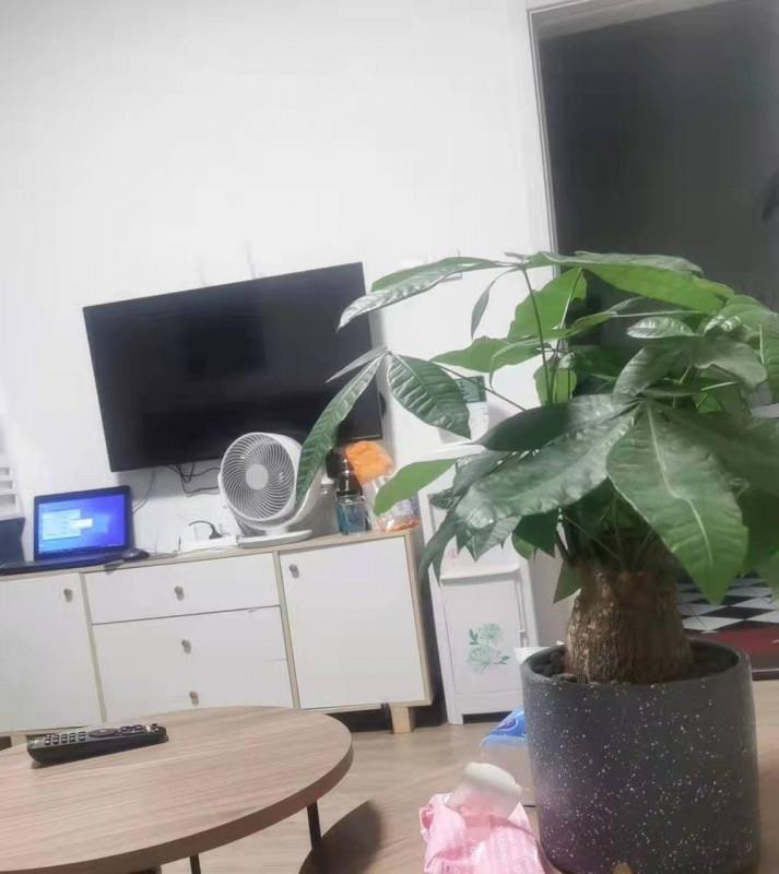 徐汇小性感少妇 第2张